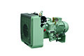 Sauer WP22L Compressor